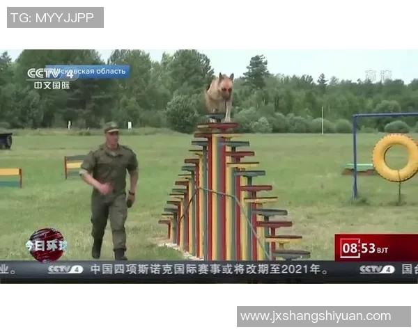 马达加斯加与突尼斯激战正酣比赛结果揭晓引发热议